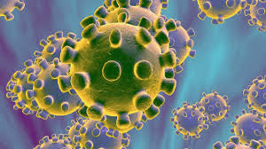 Build Your Immune Defense